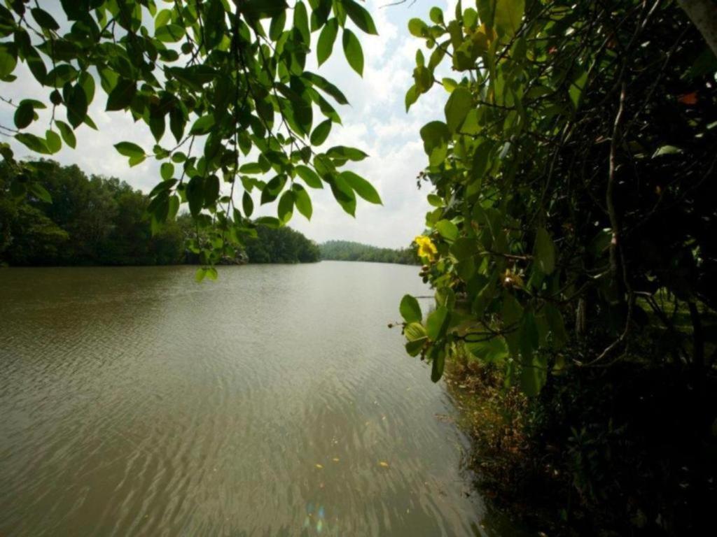 Mangrove Escapes Resort Bentota Esterno foto