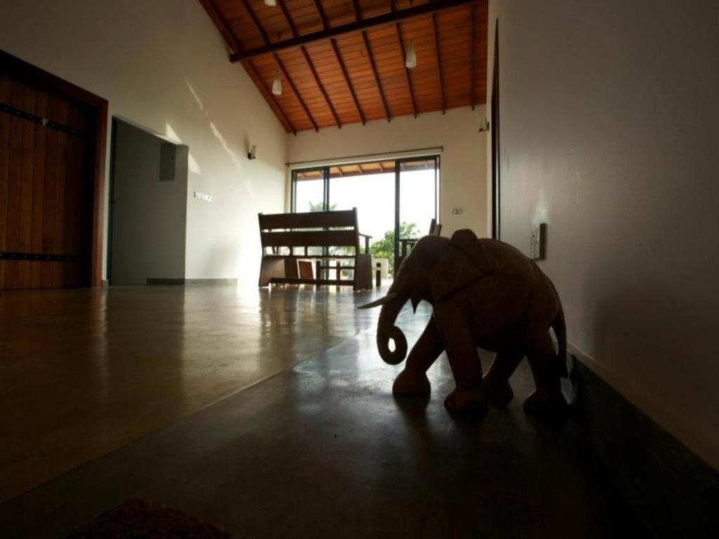 Mangrove Escapes Resort Bentota Esterno foto