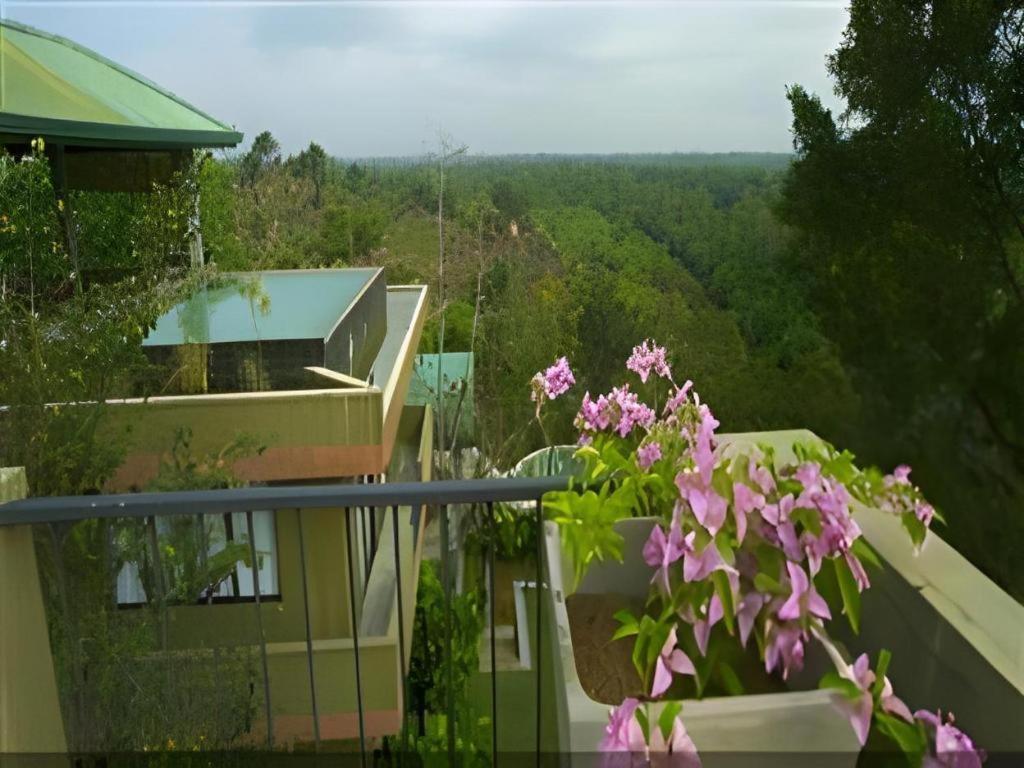 Mangrove Escapes Resort Bentota Esterno foto