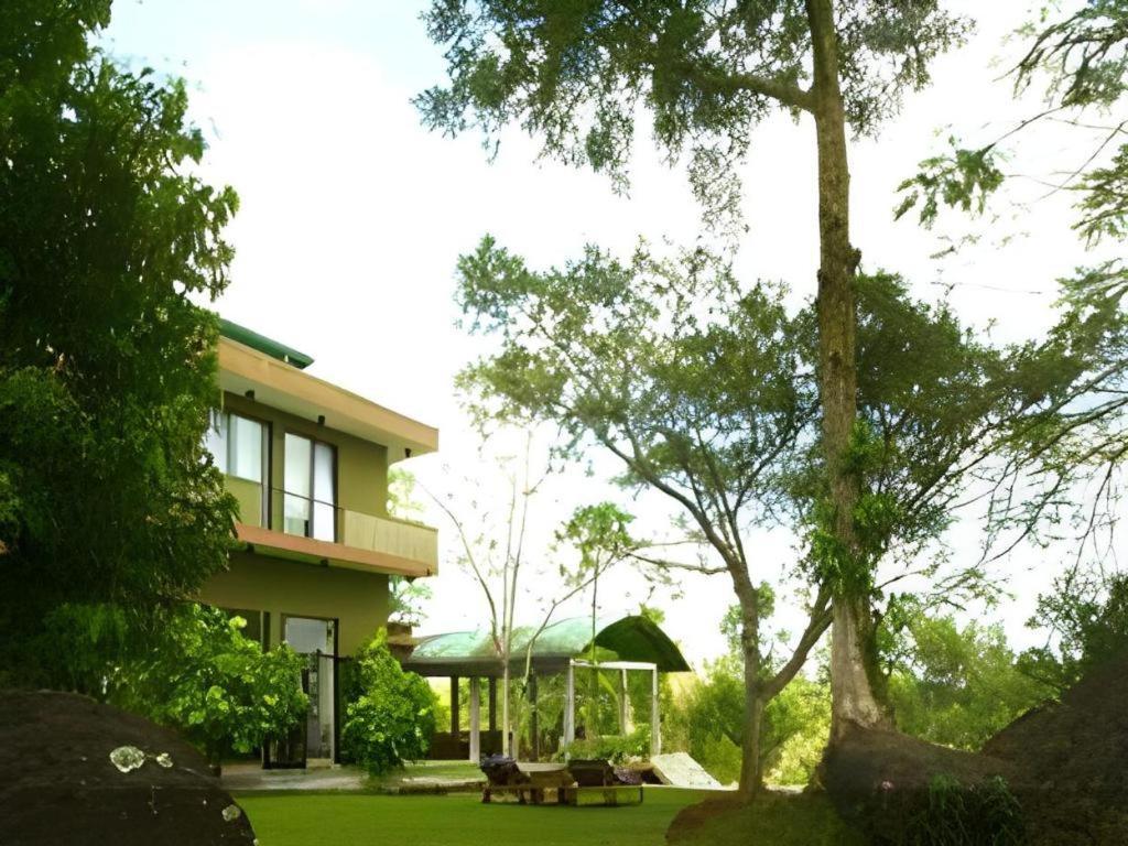 Mangrove Escapes Resort Bentota Esterno foto