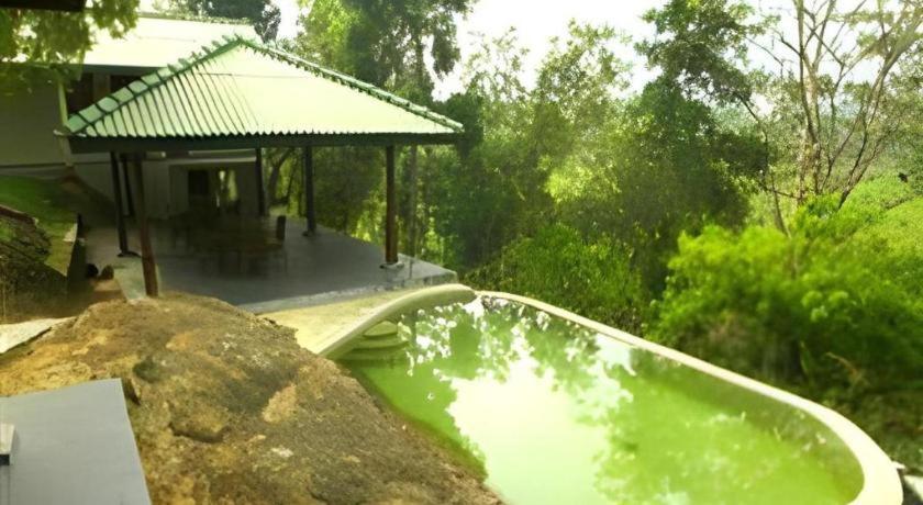 Mangrove Escapes Resort Bentota Esterno foto
