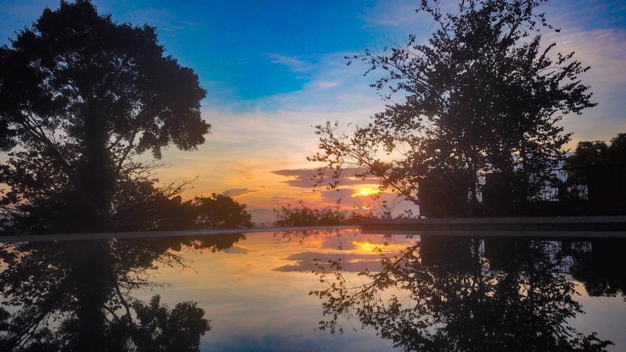 Mangrove Escapes Resort Bentota Esterno foto