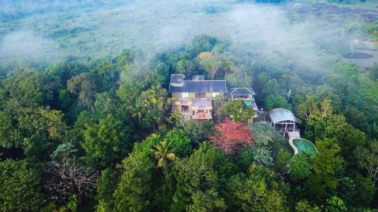 Mangrove Escapes Resort Bentota Esterno foto