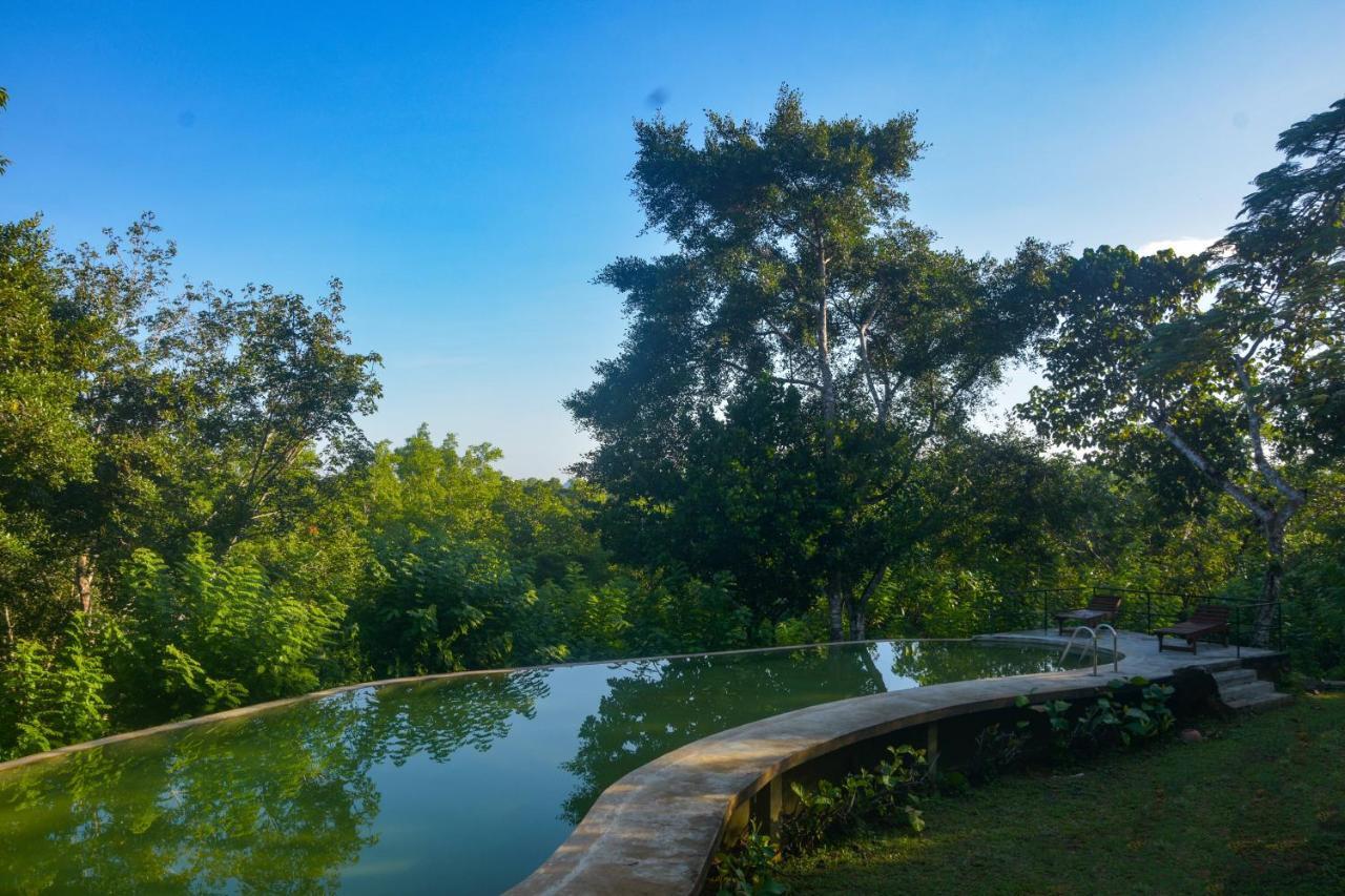 Mangrove Escapes Resort Bentota Esterno foto